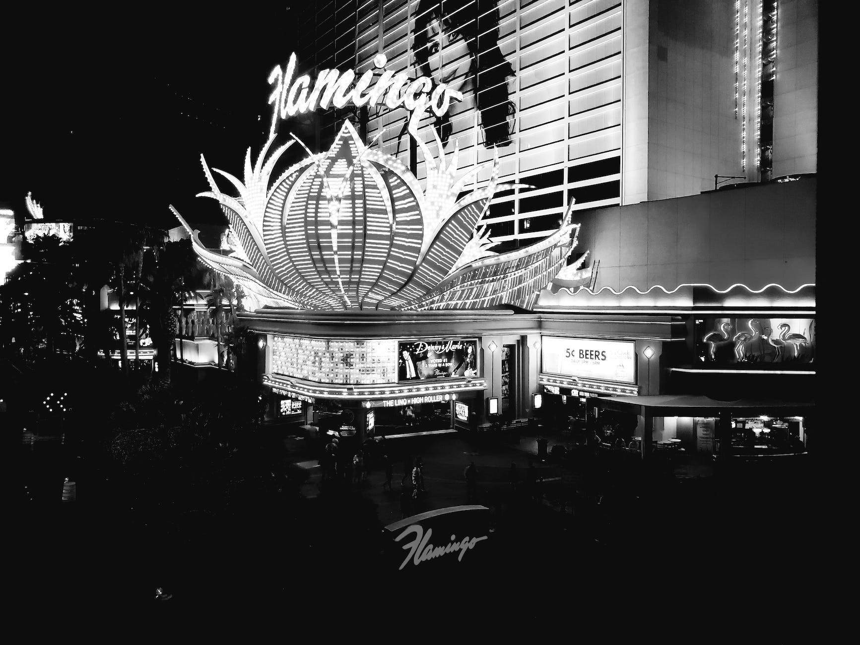 bright lights of the flamingo hotel and casino