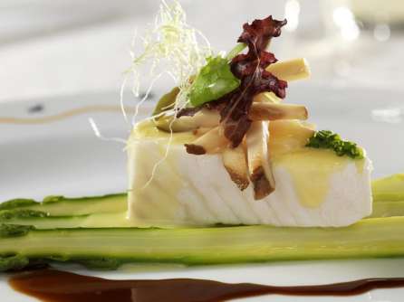 bellagio restaurants picasso sauteed filet of chilean sea bass.tif.image .446.334.high